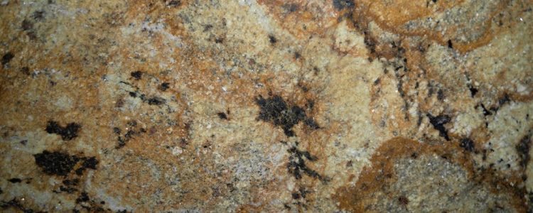 Lapidus Brown (Лапидус Браун)