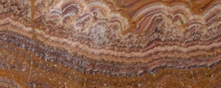 Оникс Jasper (Оникс Джаспер)
