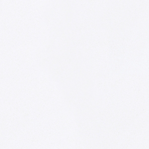 Crystal Polar White Кварцевый агломерат