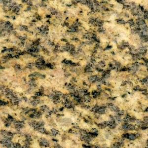Гранит Тайгер Скин Еллоу (Tiger Skin Yellow)